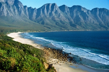 Schutzregion Cape Floral